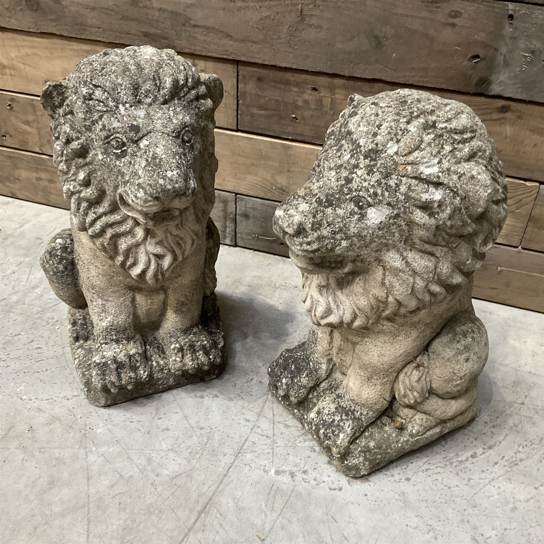 Pair of small weathered cast stone garden seated lions