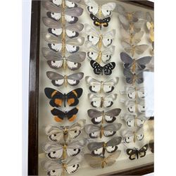 Entomology: Single glazed display of moths, circa 20th century, single glazed display containing sixty three various specimens, mainly Arctidae (Tiger) moths, some with attached data labels, all pinned upon foam backing and named labels, enclosed within a glazed entomology drawer, makers label to verso 'Product of J.J Hill & Son, London N.W.10', H35cm, L45cm