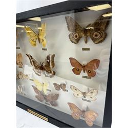 Entomology: Single glazed display of African Saturniidae (Emperors) moths, circa 20th century, single glazed display containing fourteen various specimens, some with attached data labels, all pinned upon foam backing and named labels, enclosed within a glazed ebonised display case, H39cm, L50cm