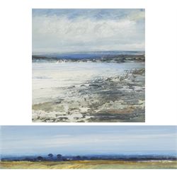 Peter Hodson (British Contemporary): Norfolk Landscapes, two oils on board signed 11cm x 41cm and 19cm x 19cm (2)