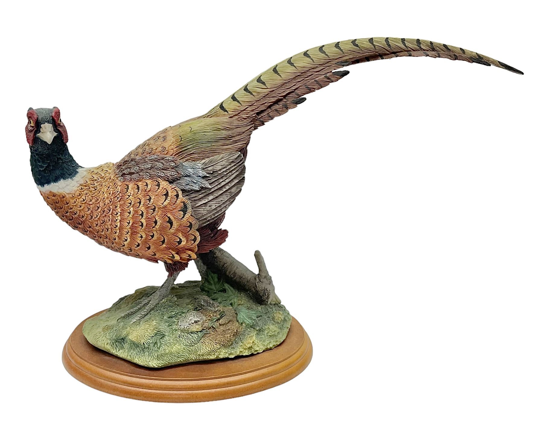 Border Fine Arts Game Birds figure, modelled as a Pheasant, A0659 by Russell Willis, H26cm