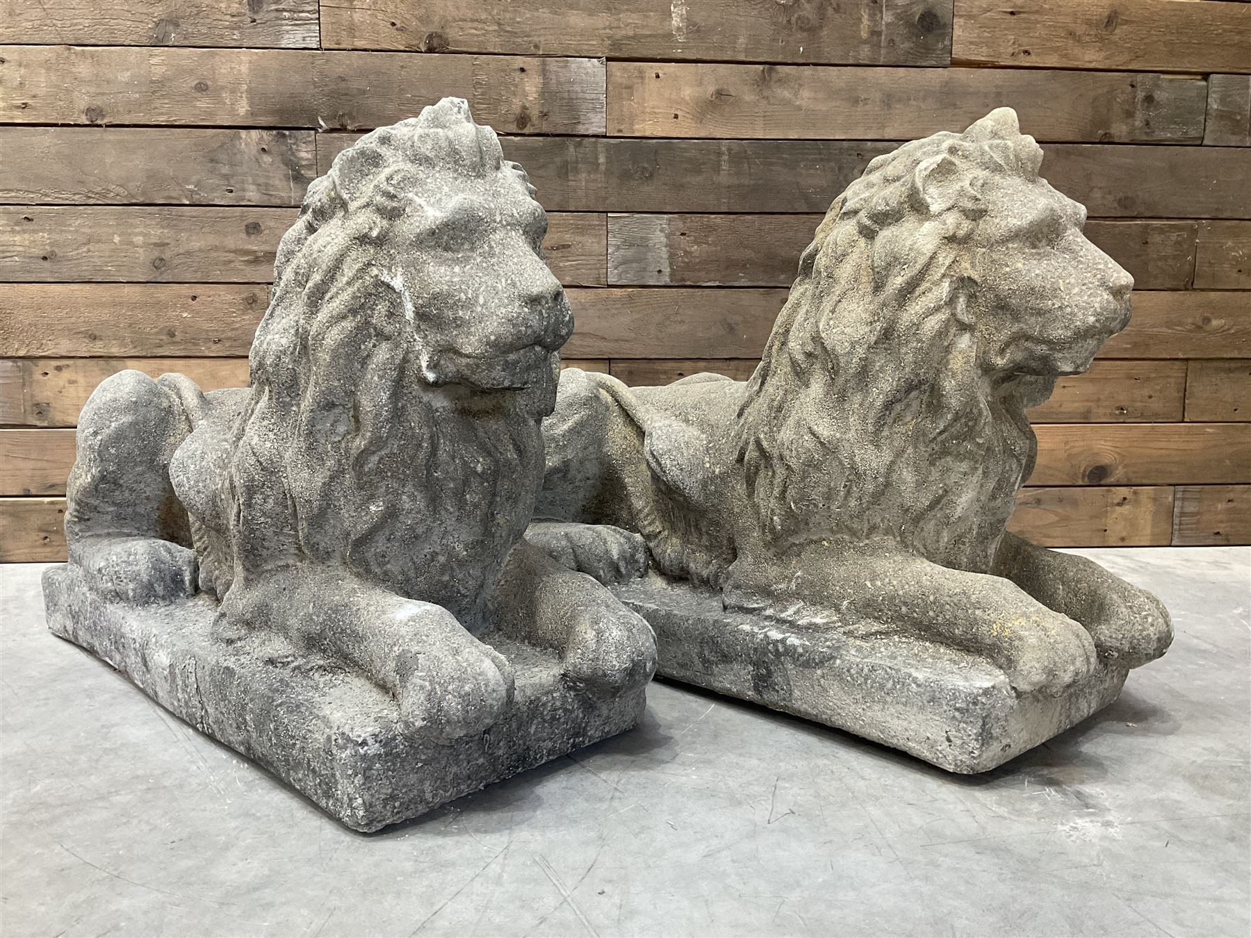 Pair of large cast stone Langport recumbent garden lions, rectangular plinth base