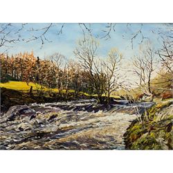 Peter Lapish (British 1937-): 'River Wharfe below Appletreewick', oil on canvas board signed, titled verso 29cm x 39cm