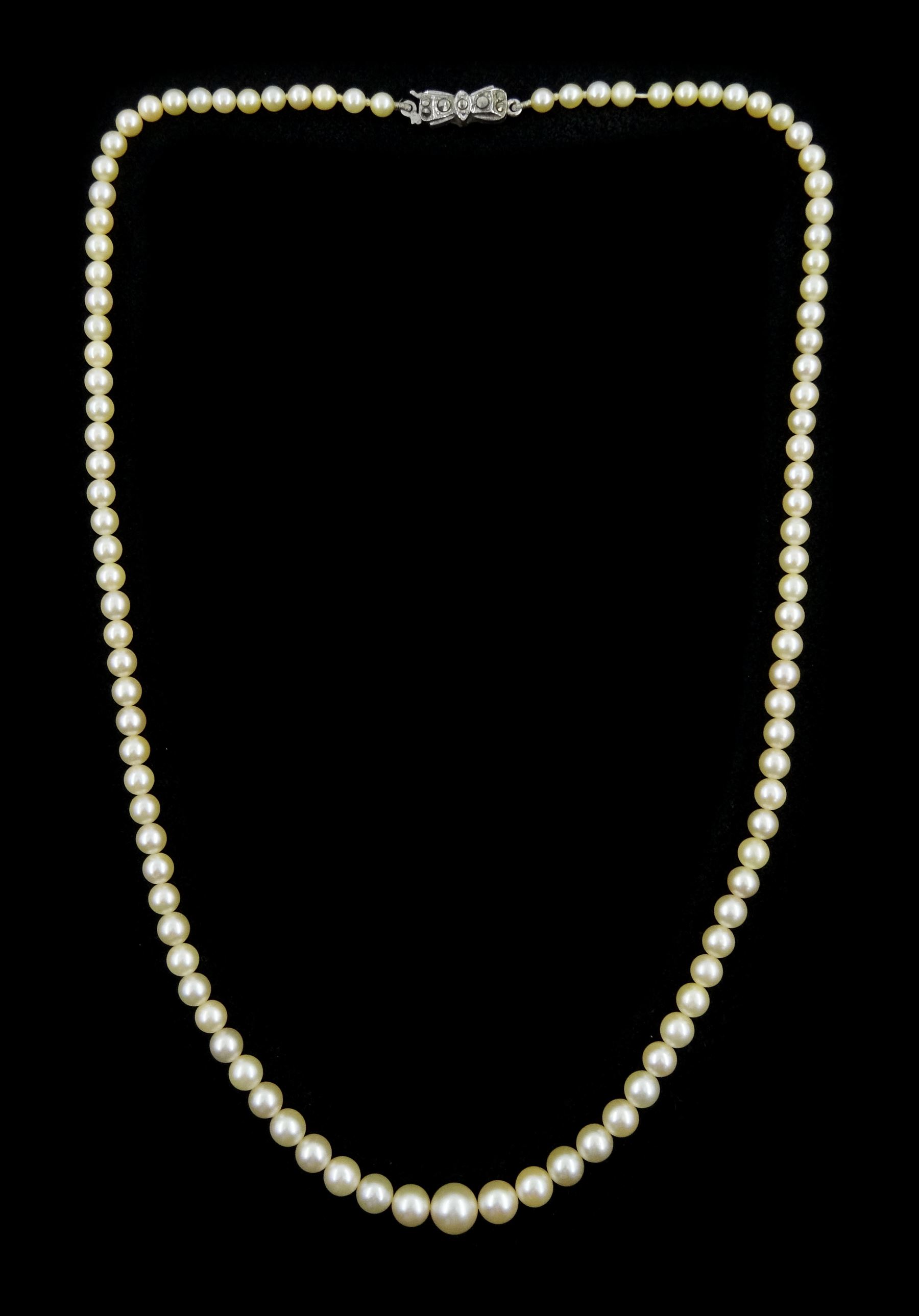 Mikimoto single strand cultured cream / white pearl necklace, with silver marcasite clasp, boxed