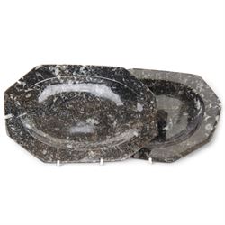 Pair of elongated octagonal dishes, each with goniatite inclusions, age: Devonian period, location: Morocco, L20cm