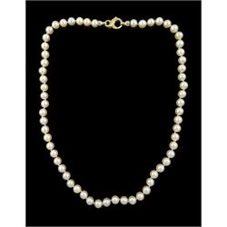 Single strand white / peach cultured pearl necklace, with 18ct gold clasp, stamped 750