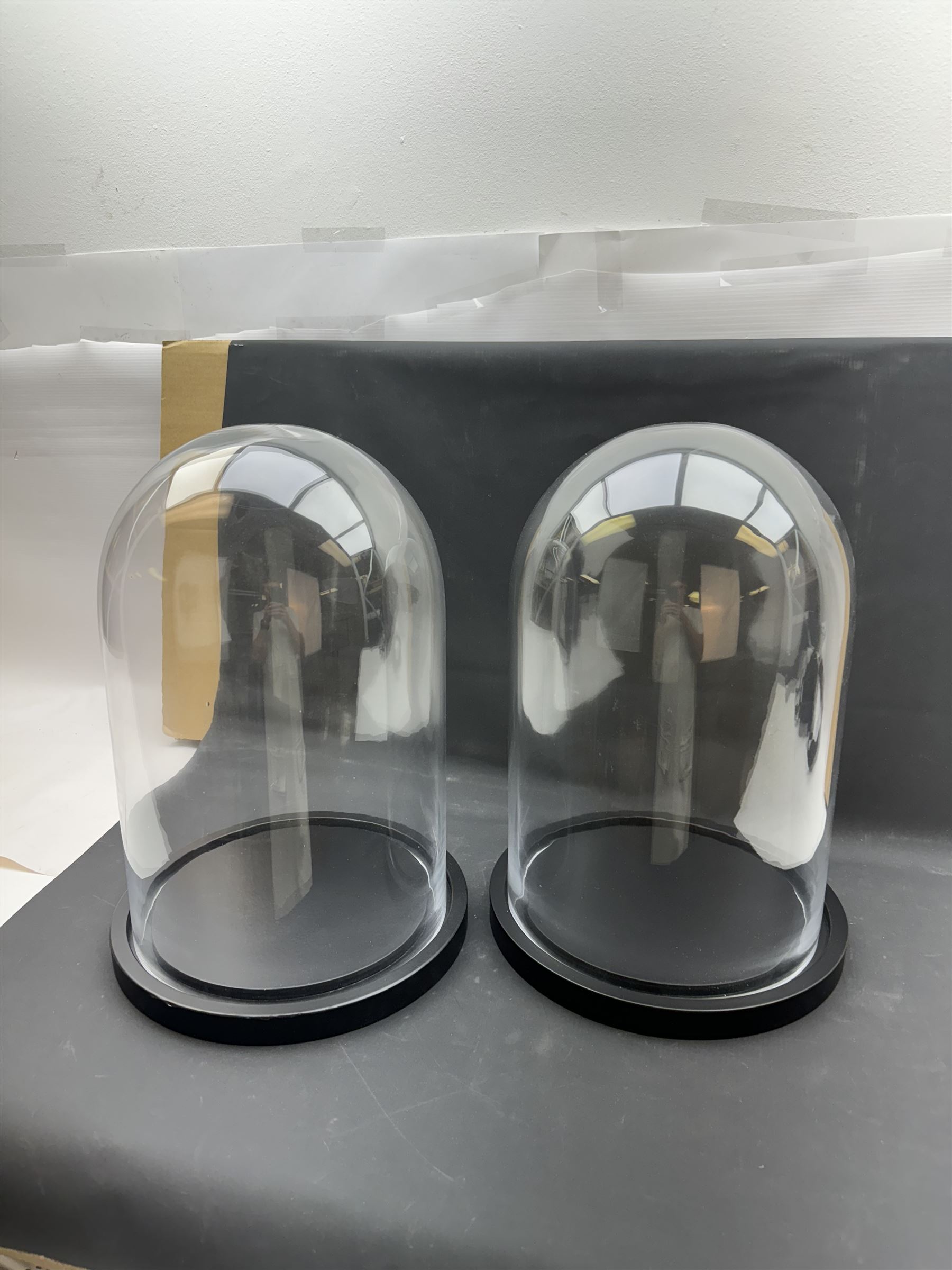 Pair of glass domes upon circular bases, H42cm