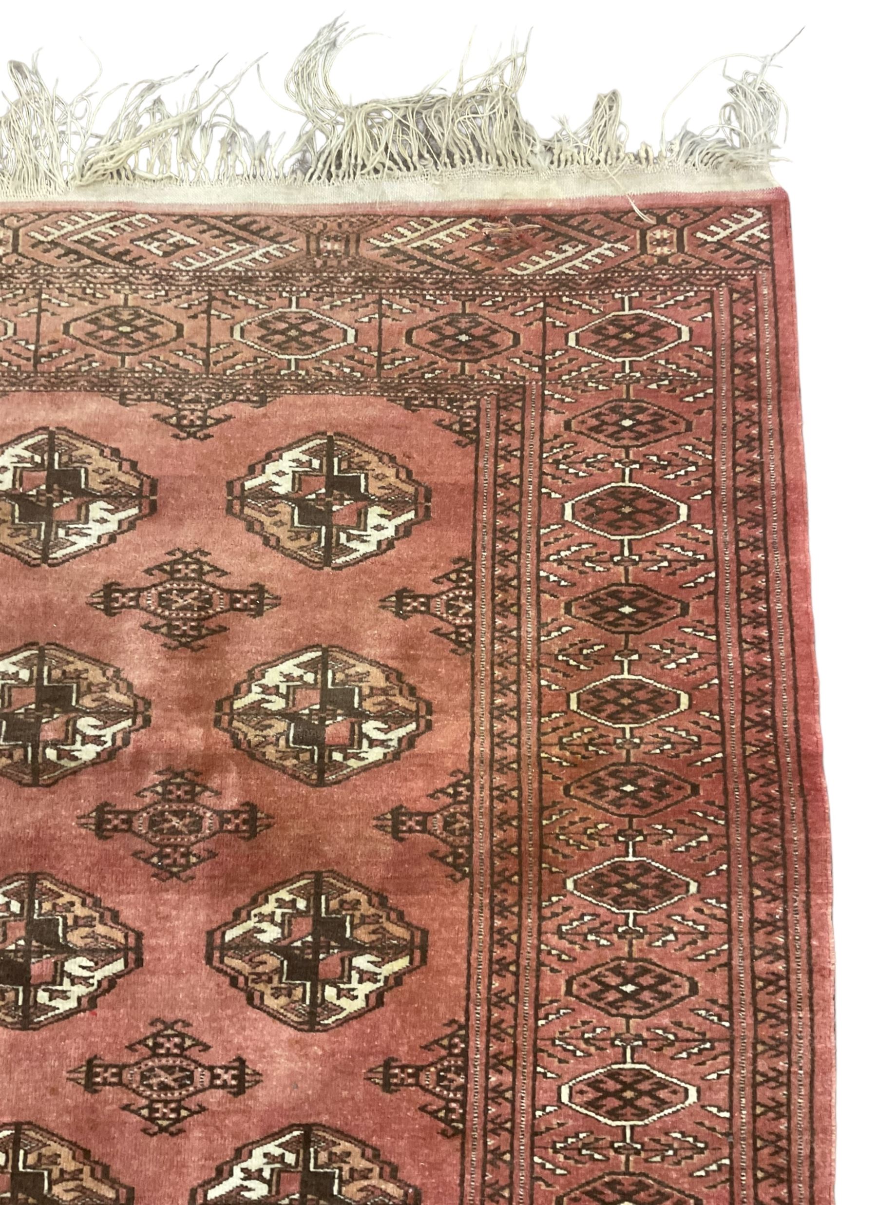 Afghan Bokhara red ground rug, the field decorated with five rows of Gul motifs, guarded border decorated with lozenges and geometric pattern 