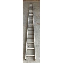 Ramsay 24 rung 2.4m single ladder