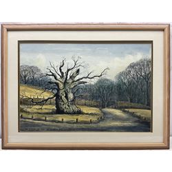 Jack Rigg (British 1927-2023): 'The Laund Oak' at Bolton Abbey, watercolour and ink signed inscribed and dated 1987, further inscribed verso 37cm x 55cm 
Notes: the Laund Oak was thought to be one of the oldest trees in England, being at least 700 years old but possibly older; it was sadly felled in a storm in January 2017.