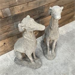 Pair of cast stone French lurchers, seated pose, on shaped plinth