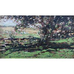 Kershaw Schofield (British 1872-1941): Landscape with Grazing Sheep, oil on board signed 14cm x 23cm