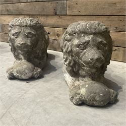 Pair of small cast stone garden recumbent lions