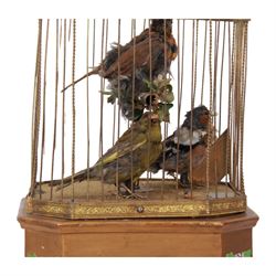 Late 19th century coin operated trio of singing birds in cage automaton, probably by J Phalibois, French, the three taxidermy birds with moving heads, beaks and tail feathers synchronized to the birdsong, under a gilt brass cage with one penny coin entry shoot, The gilt canted rectangular base with barbola decoration, H58cm