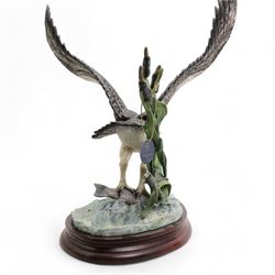 Border Fine Arts 'Osprey' by Ray Ayres, limited edition 217/500 on wood base, boxed and with certificate