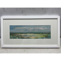 Peter Hodson (British Contemporary): Panoramic Norfolk Landscapes, three oils on board signed 12cm x 38cm (3)