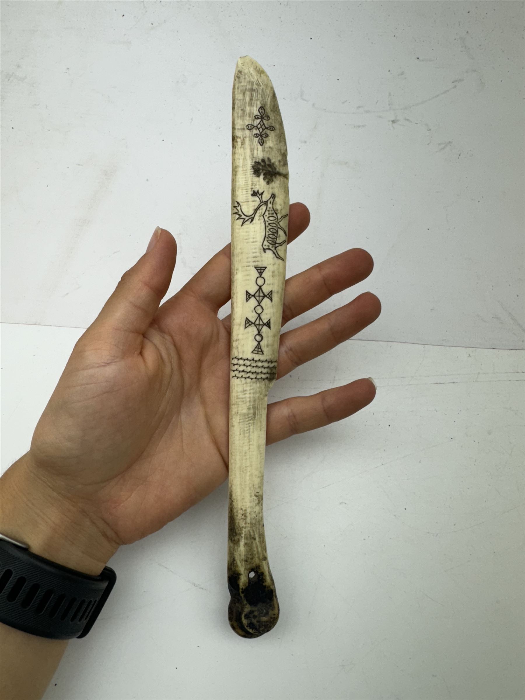 Inuit scrimshaw carved bone scraping knife, decorated with deer and tree, L25cm