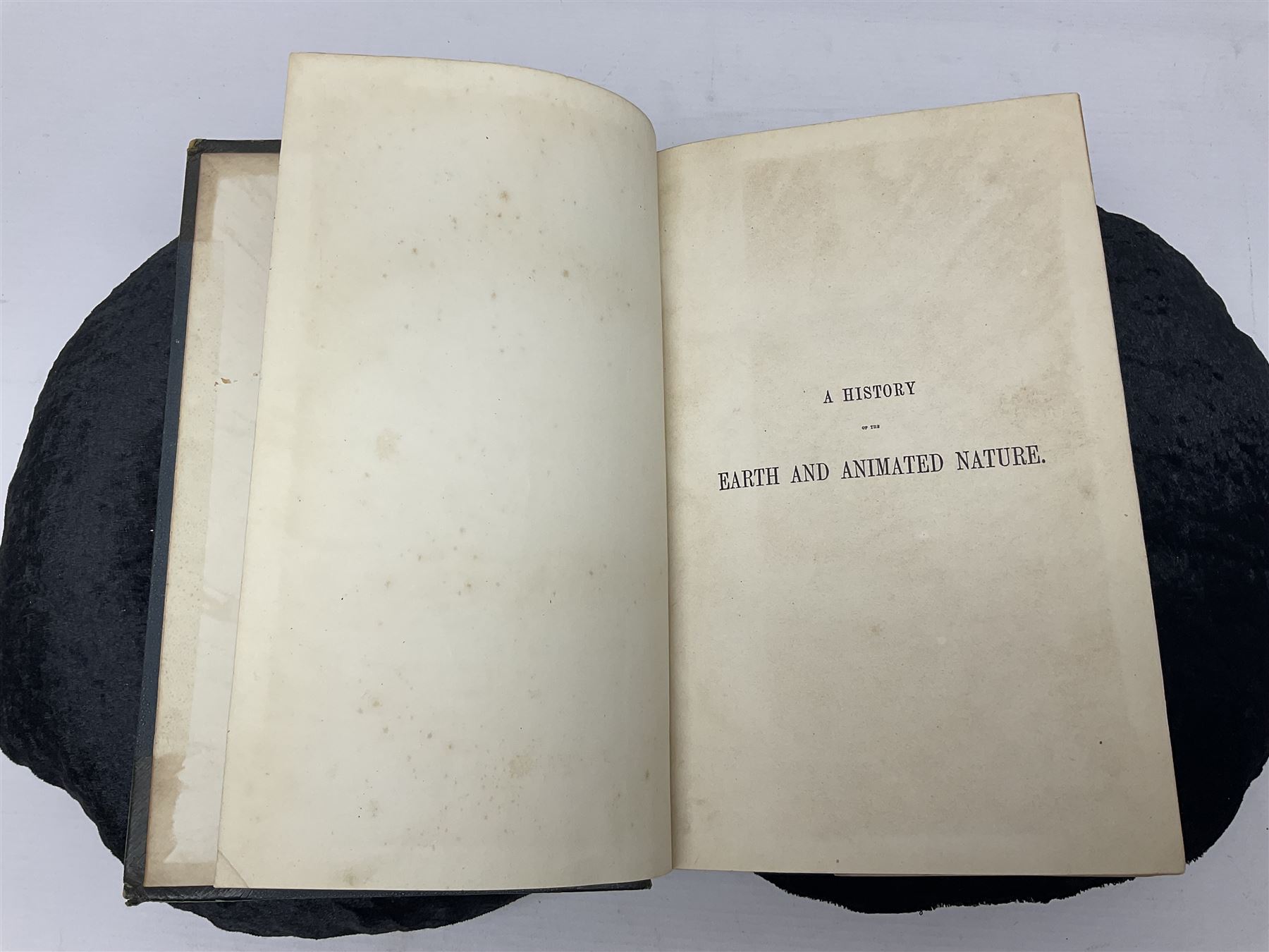 Oliver Goldsmith; Goldsmith’s Animal Nature A History of The Earth and Animated Nature, two volumes, A. Fullarton & Co London & Edinburgh, 1860