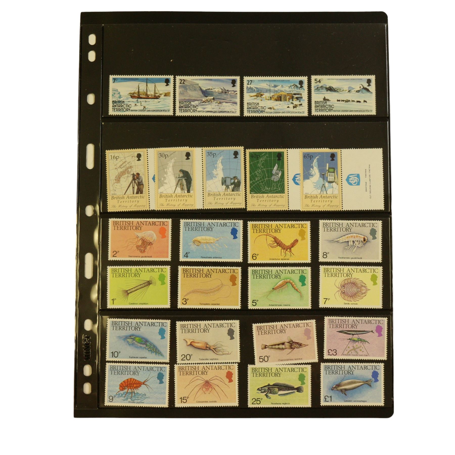 Queen Elizabeth II British Antarctic Territory mint stamps, including 1963-1969 SG 1 to 15a from half penny to both one pound values, 1993 SG 218-229 etc and a small number of Australian Antarctic Territory stamps, housed on stock pages