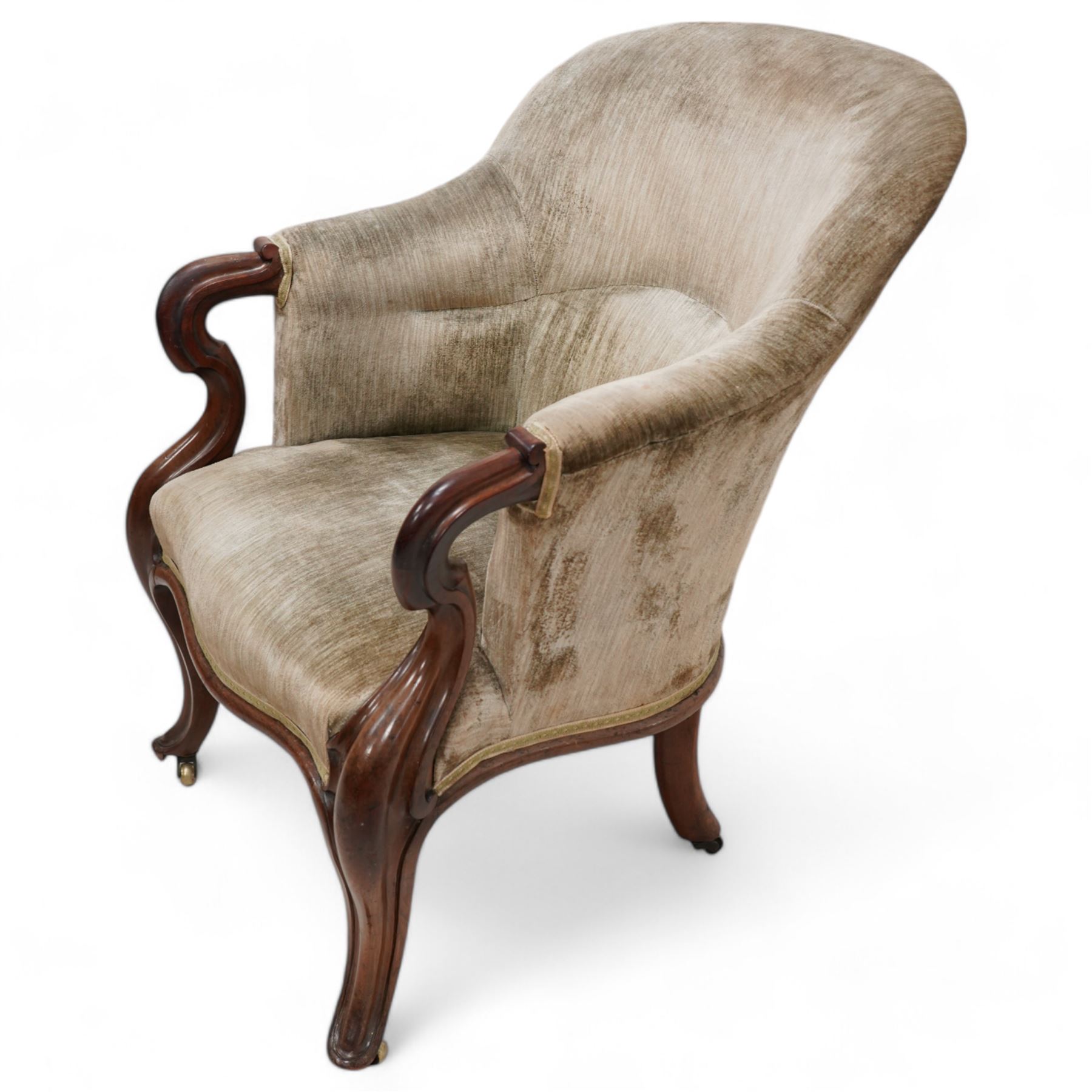 19th century mahogany framed tub armchair, upholstered in sage green velvet fabric with sprung seat, scrolled arm terminals over cabriole supports with castors