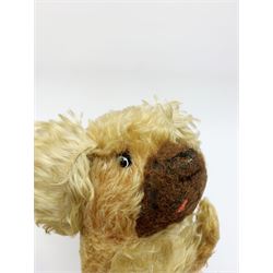 Farnell curly plush spaniel dog in a crouching position with glass eyes, dark brown snout, long tail and ears and jointed swivel head L25.5