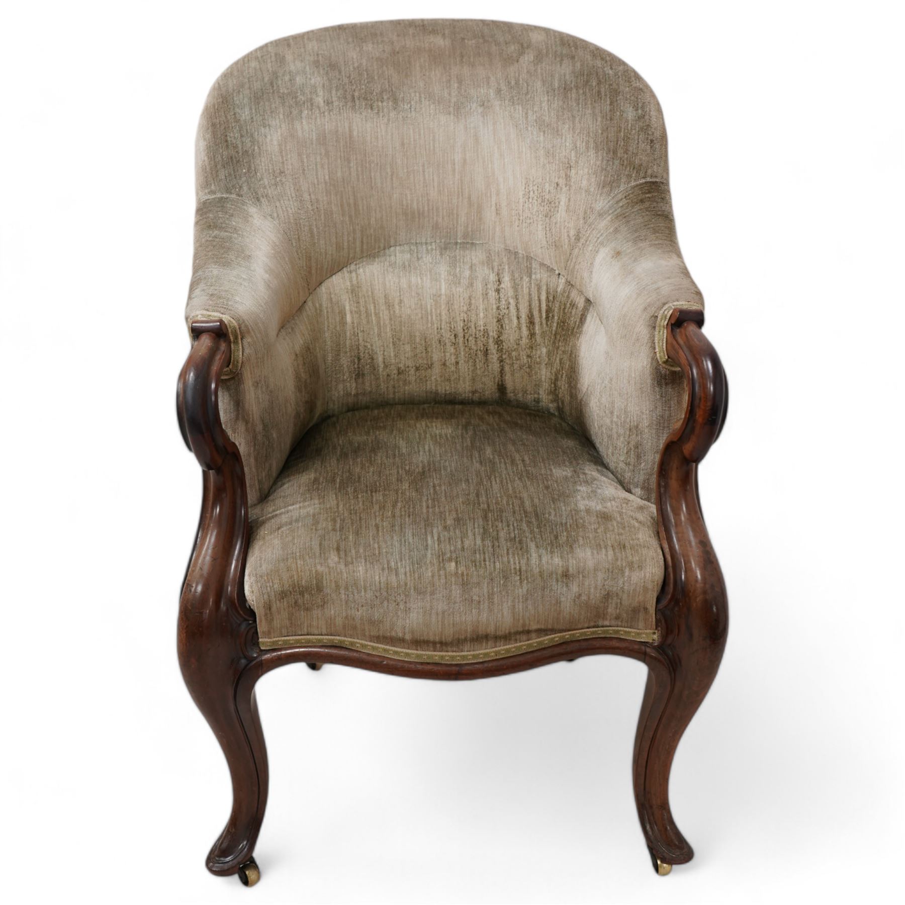 19th century mahogany framed tub armchair, upholstered in sage green velvet fabric with sprung seat, scrolled arm terminals over cabriole supports with castors