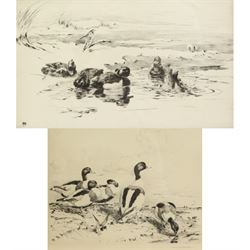 Winifred Marie Louise Austen (British 1876-1964): Ducks Swimming in Marshland Water, pair etchings signed in pencil max 22cm x 27cm (2)