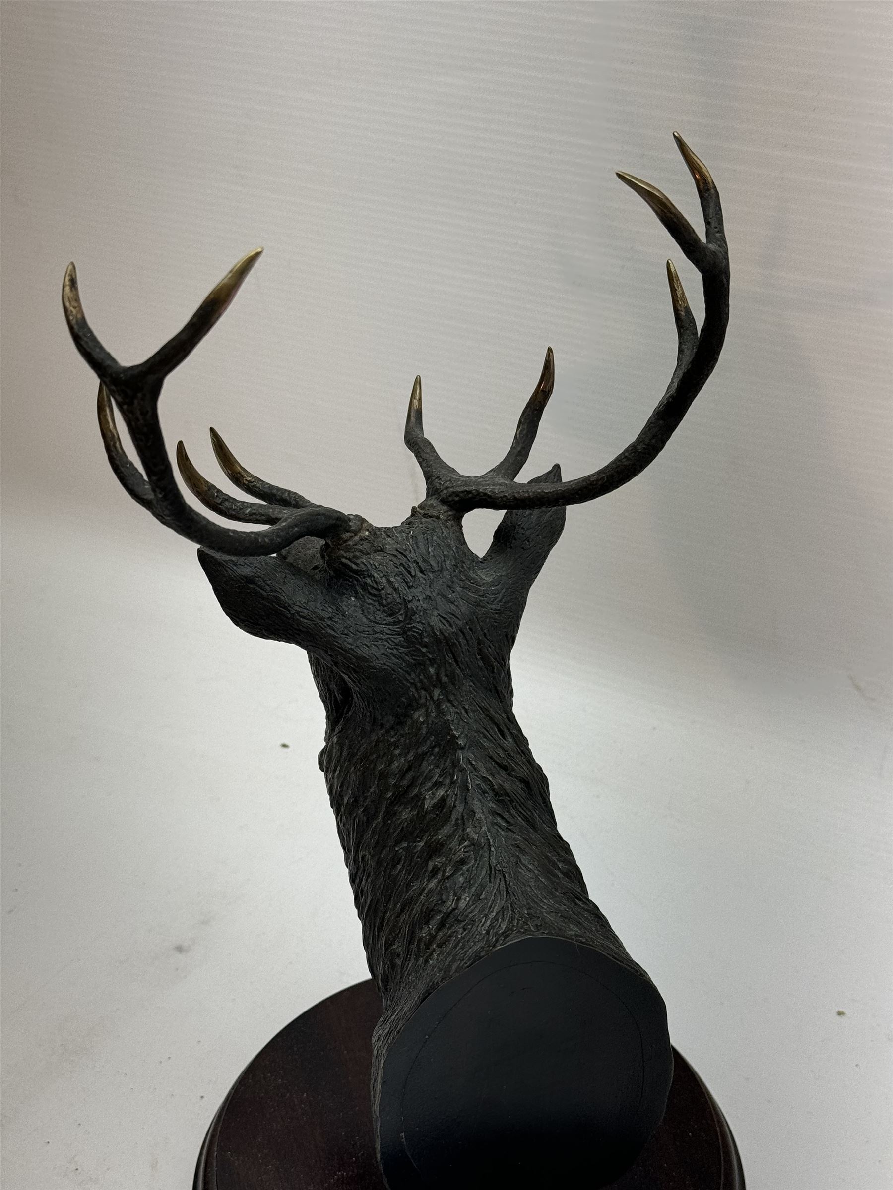 Willie Forbes (Scottish Contemporary): Head of a Stag, limited edition bronze signed and numbered 6/50 to the base, together with two limited edition prints by the same artist (3)