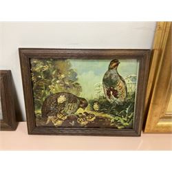 E Borddel (British 20th century) 'Castlethorpe' male and female pheasant oil on panel, together with five woven pictures of birds and three prints of birds