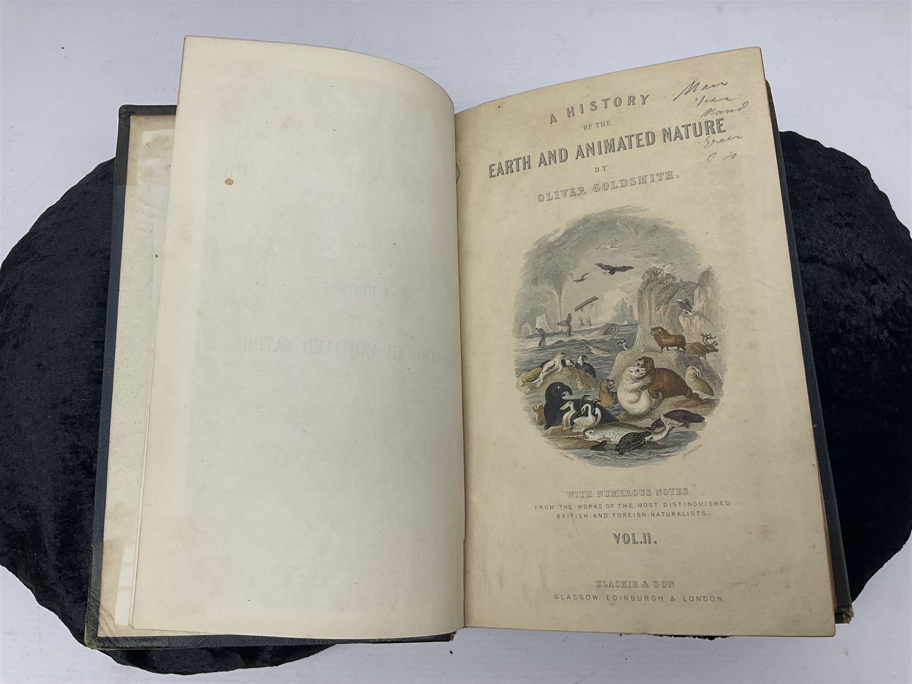 Oliver Goldsmith; Goldsmith’s Animal Nature A History of The Earth and Animated Nature, two volumes, A. Fullarton & Co London & Edinburgh, 1860