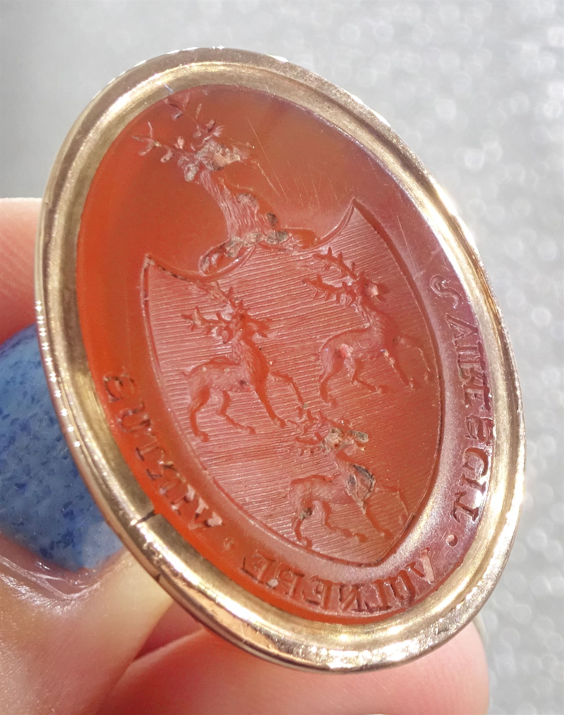 Large 19th century gold oval carnelian intaglio fob seal depicting three stags within a shield and mounted by a stag's head, engraved with the moto 'Virescit Vulnere Virtus'