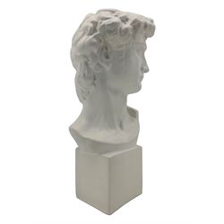 Large plaster bust depicting David, on integral square plinth, H61cm 