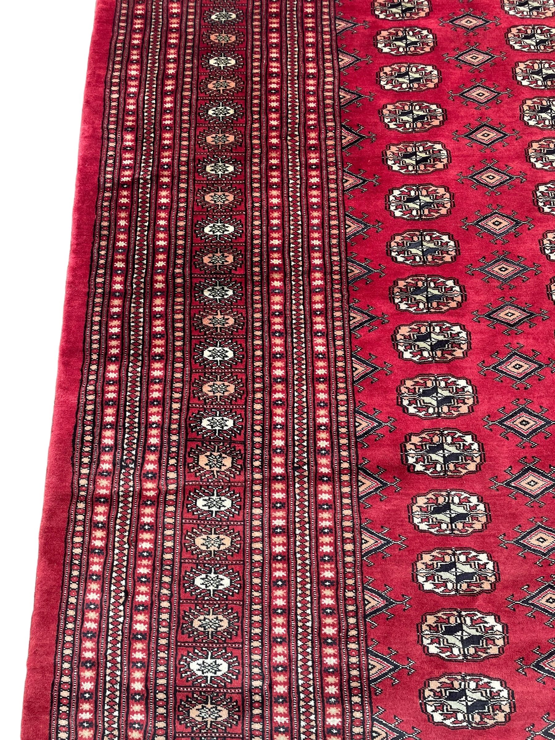 Persian Bokhara red ground carpet, decorated with six rows of traditional Gul motifs, multiple band border decorated with geometric patterns and motifs 