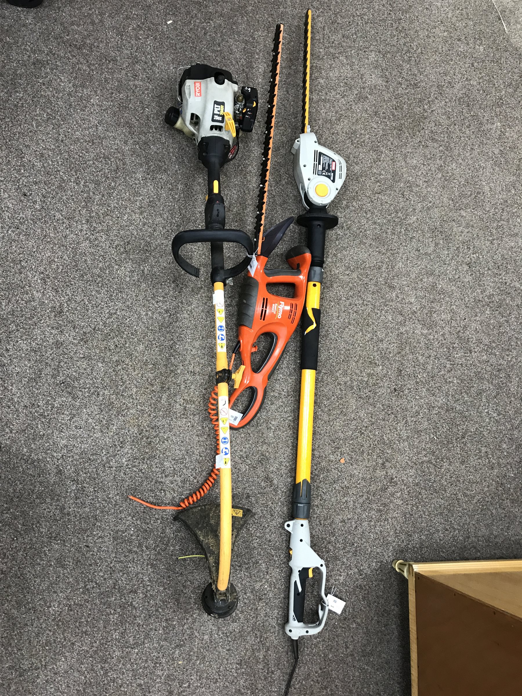 Flymo EasiCut 600 XT hedge cutter, a strimmer and a Ryobi RPT400 pole hedge trimmer