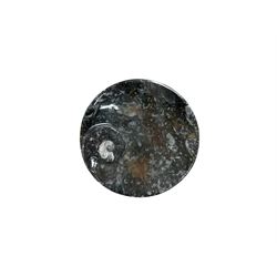 Circular dish with a raised goniatite and orthoceras and goniatite inclusions, age: Devonian period, location: Morocco, D11cm