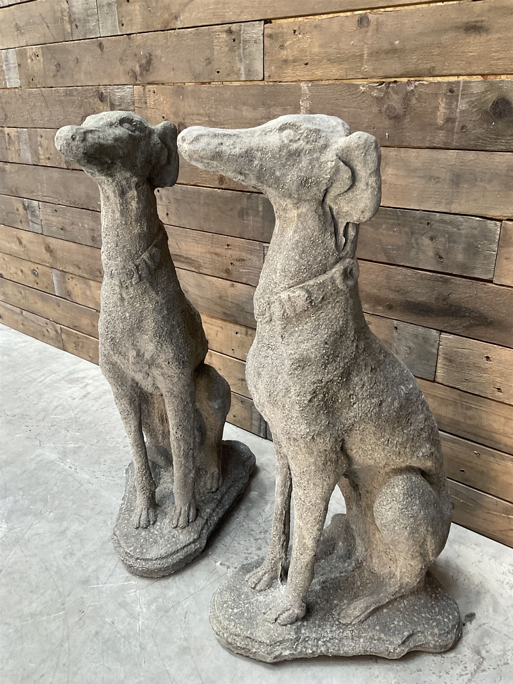 Pair of cast stone French lurchers, seated pose, on shaped plinth