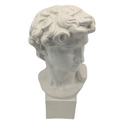 Large plaster bust depicting David, on integral square plinth, H61cm 