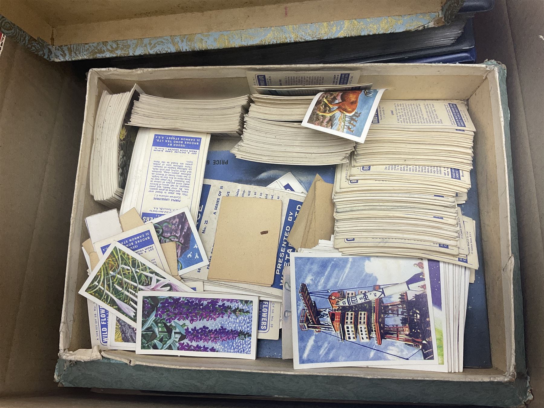 Large quantity of cigarette and tea cards, mostly in ring binders, with some loose examples, including History of Aviation, The Race into Space and Prehistoric Animals