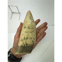 19th century scrimshaw sperm whale tooth, inscribed 1854 Lightening to one side and Red Jacket to the other with a ship at sea, H15cm 