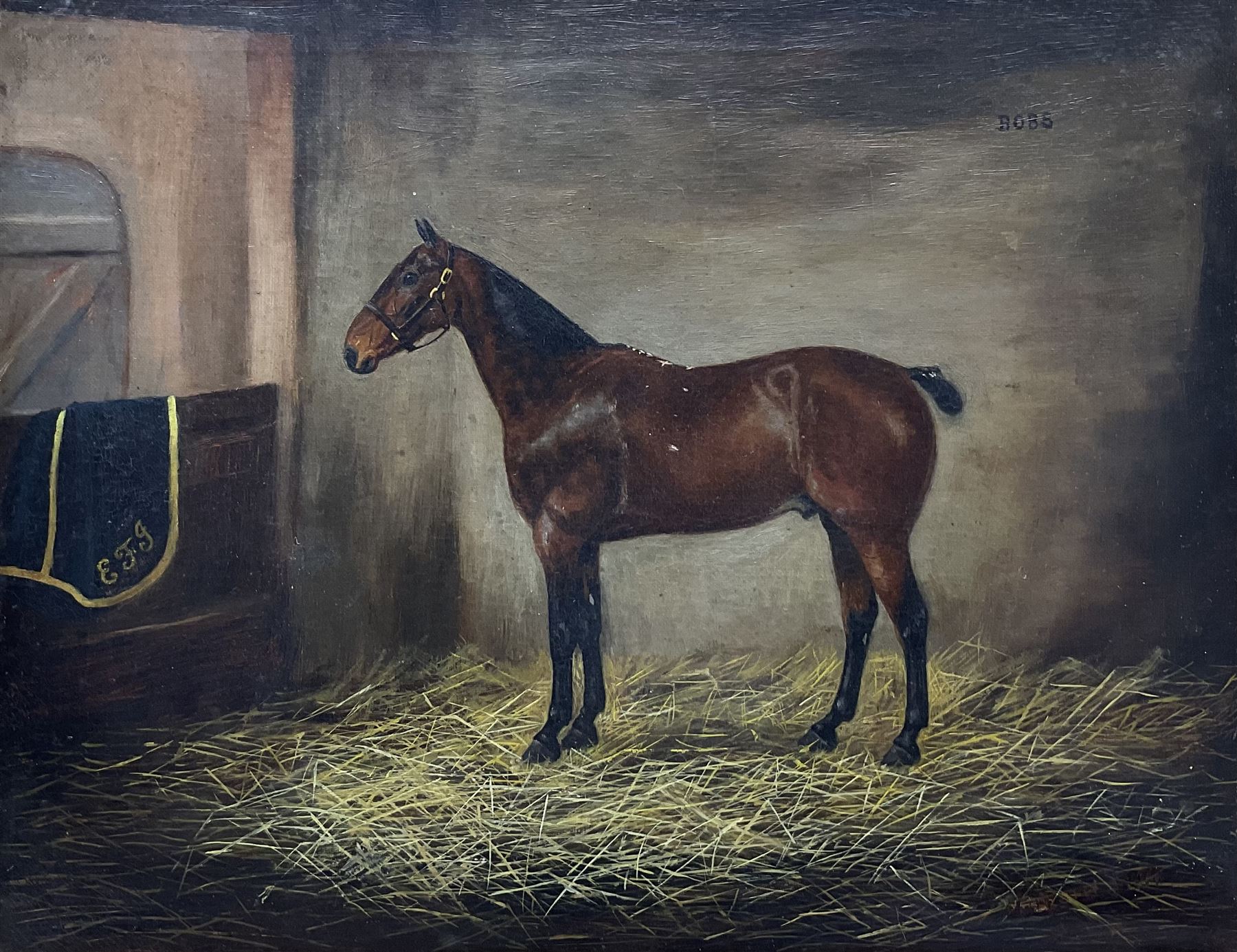 Margaret Wynn (British Early 20th Century): Portrait of Horse 'Bobs' in Stable, oil on canvas signed 31cm x 40cm 