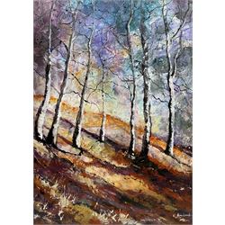Ann Lamb (British 1955-): Wilderness, mixed media on canvas signed 70cm x 50cm 