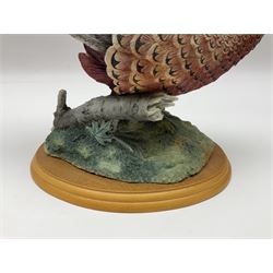 Border Fine Arts Game Birds figure, modelled as a Pheasant, A0659 by Russell Willis, H26cm