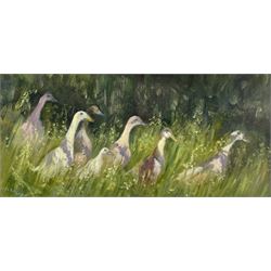 Iris Collett (British 1938-): Seven Geese, oil on board signed 19cm x 39cm