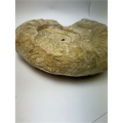 Large ammonite fossil, age; Cretaceous period, location; Morocco, W27cm