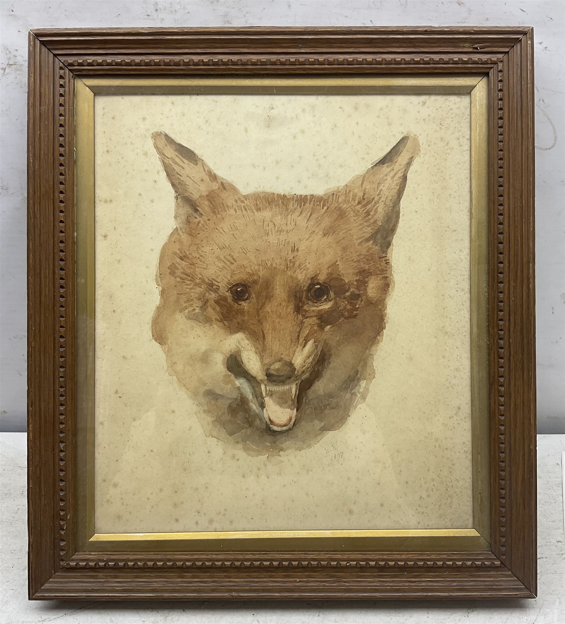 William Woodhouse (British 1857-1939): Smiling Fox, watercolour signed with initials and dated 1897, 34cm x 30cm 