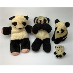 Seven English panda bears 1950s-60s including Farnell with fixed head and limbs, glass type eyes and vertically stitched nose and mouth H18