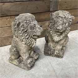 Pair of small weathered cast stone garden seated lions