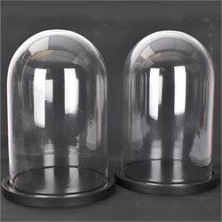 Pair of glass dome upon circular base, H41cm