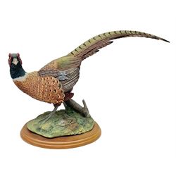 Border Fine Arts Game Birds figure, modelled as a Pheasant, A0659 by Russell Willis, H26cm