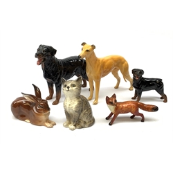 A group of Beswick figures, comprising a Rottweiler, and Rottweiler puppy, Grey Hound marked CH Jovial Roger, grey kitten marked 1886, fox, and a Royal Doulton figure of a Rabbit, HN2592. 